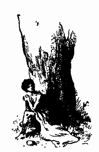 Бхомбол-ватажок i_008.png