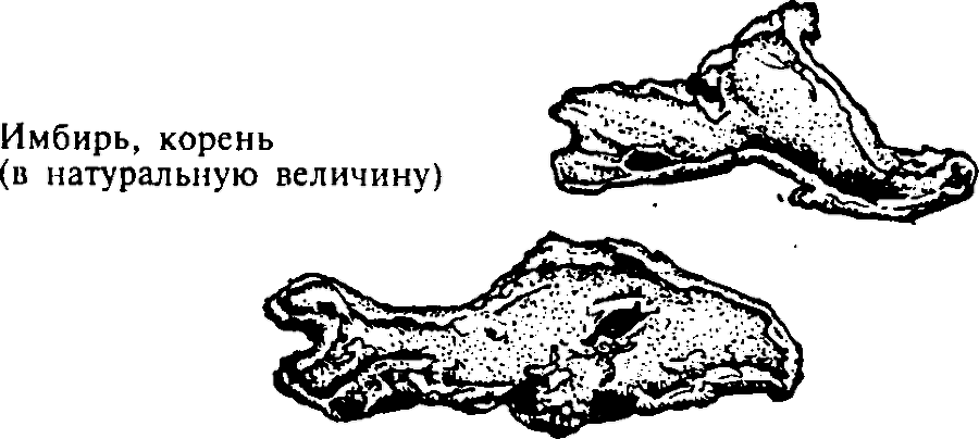 Большая энциклопедия кулинарного искусства. Все рецепты В.В. Похлёбкина img_3.png