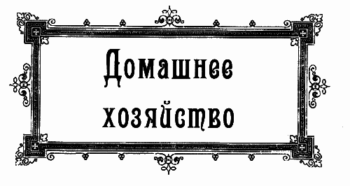 Женщины викторианской Англии: от идеала до порока i_014.png