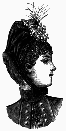 Женщины викторианской Англии: от идеала до порока i_056.png