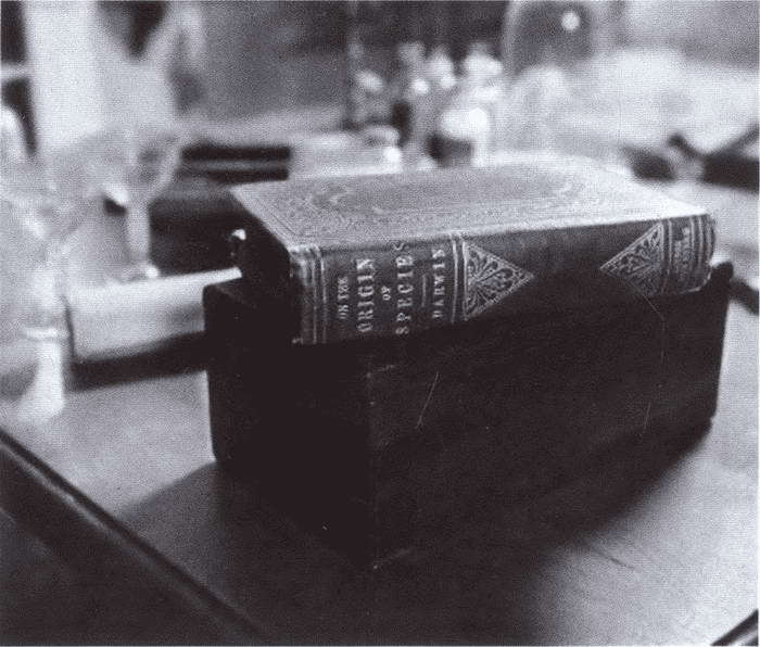 Дарвин i_030.jpg