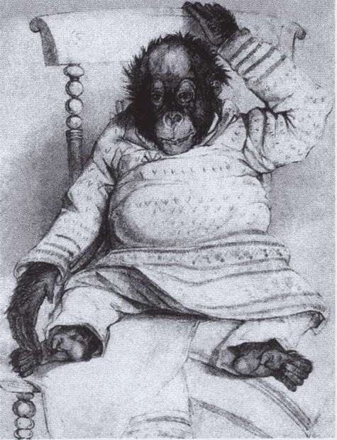 Дарвин i_034.jpg
