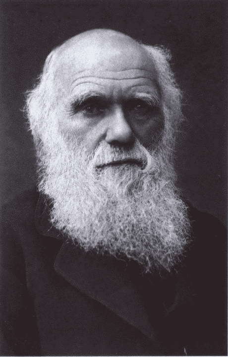 Дарвин i_035.jpg