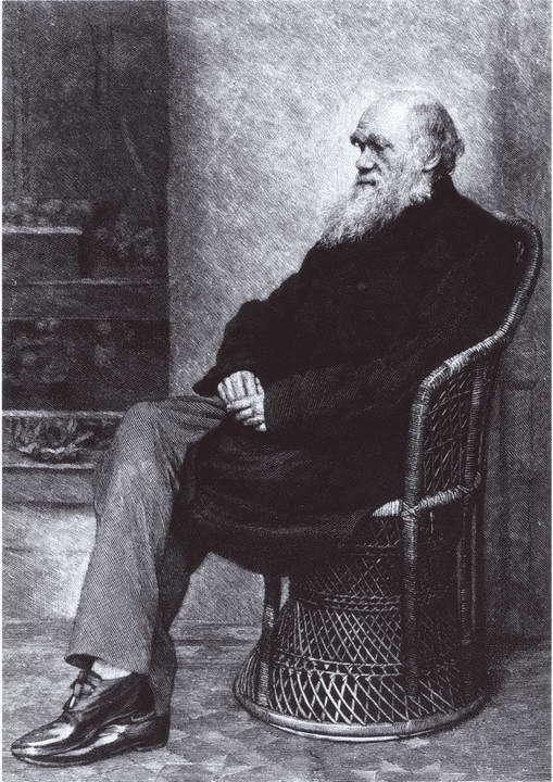 Дарвин i_053.jpg