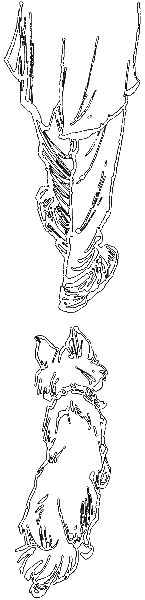 Тяпа, Борька и ракета i_022.png