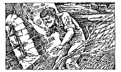 Тайна одной башни (сборник) i_009.png