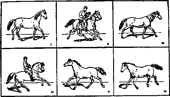 Всеобщая история кино. Том 1 (Изобретение кино 1832-1897, Пионеры кино 1897-1909) i_006.png