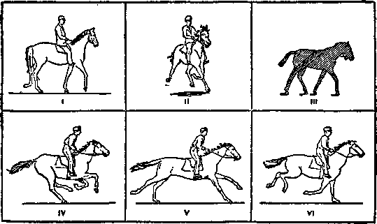 Всеобщая история кино. Том 1 (Изобретение кино 1832-1897, Пионеры кино 1897-1909) i_007.png