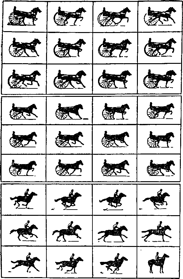 Всеобщая история кино. Том 1 (Изобретение кино 1832-1897, Пионеры кино 1897-1909) i_009.png