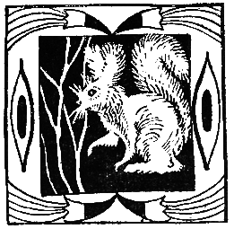 Бразильские сказки и легенды _059.png