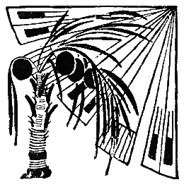 Бразильские сказки и легенды _007.png