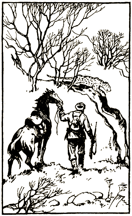 Нэнуни-четырехглазый i_003.png