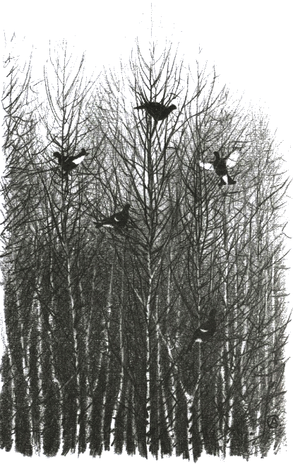 Хорюшка _018.png