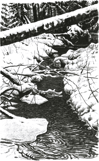 Хорюшка _038.png