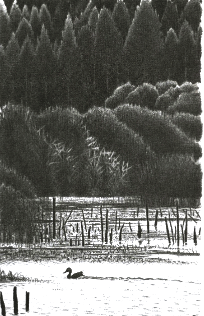 Хорюшка _047.png