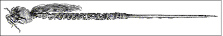 История искусства всех времён и народов Том 1 i_074.png
