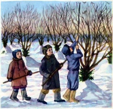 В саду росла яблонька i_006.jpg