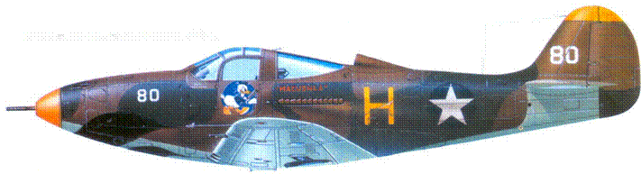 Р-39 «Аэрокобра» часть 1 pic_129.png