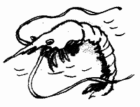Много разных кораблей SachPr_8.png