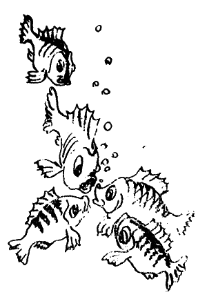 Много разных кораблей SachPr_10.png