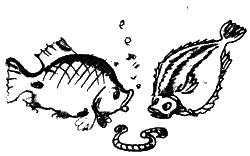 Много разных кораблей SachPr_18.png