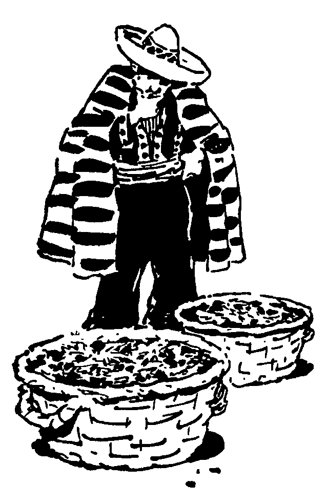 Охотники за орхидеями (илл. В.Трубковича) pic10.png