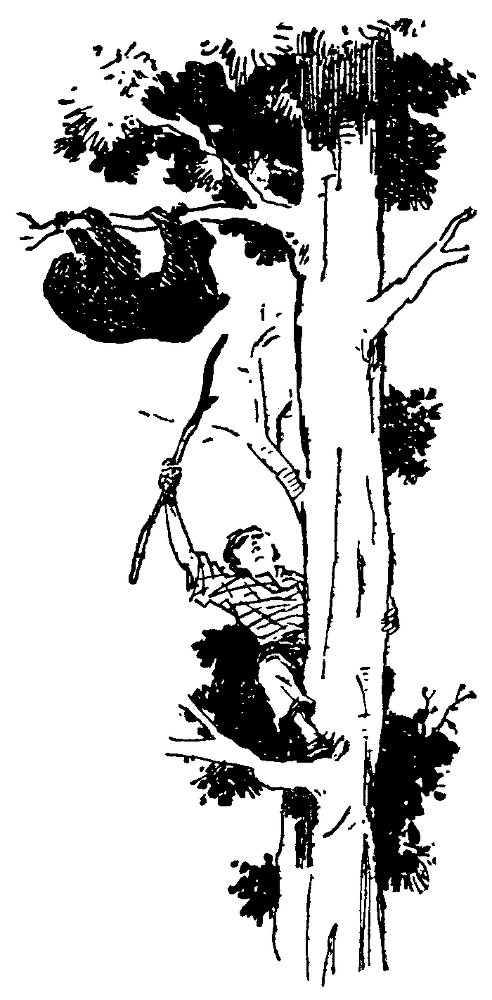 Охотники за орхидеями (илл. В.Трубковича) pic17.png