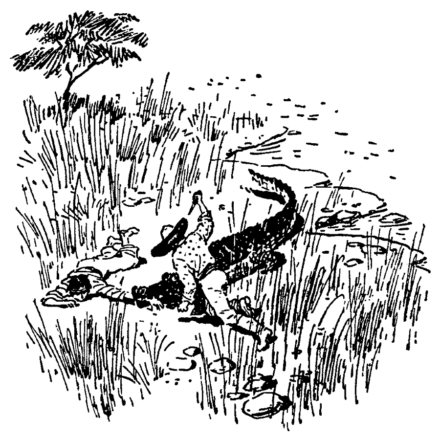 Охотники за орхидеями (илл. В.Трубковича) pic19.png