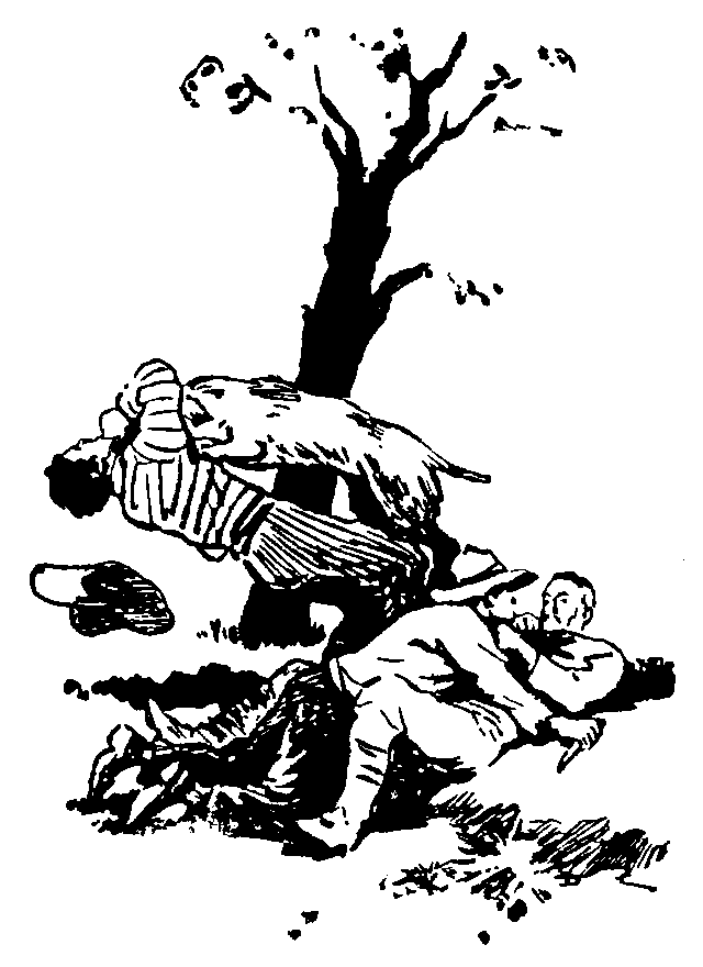 Охотники за орхидеями (илл. В.Трубковича) pic21.png