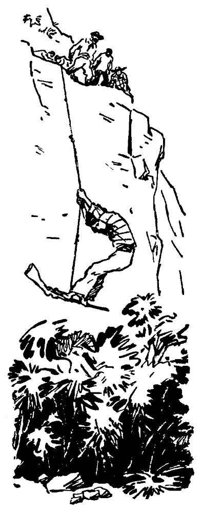 Охотники за орхидеями (илл. В.Трубковича) pic24.png