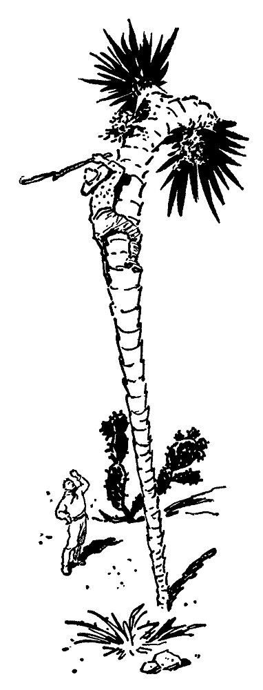 Охотники за орхидеями (илл. В.Трубковича) pic07.png