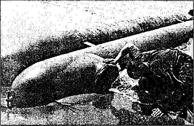 Уникальная и парадоксальная военная техника _46.jpg