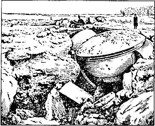 Уникальная и парадоксальная военная техника _174.jpg