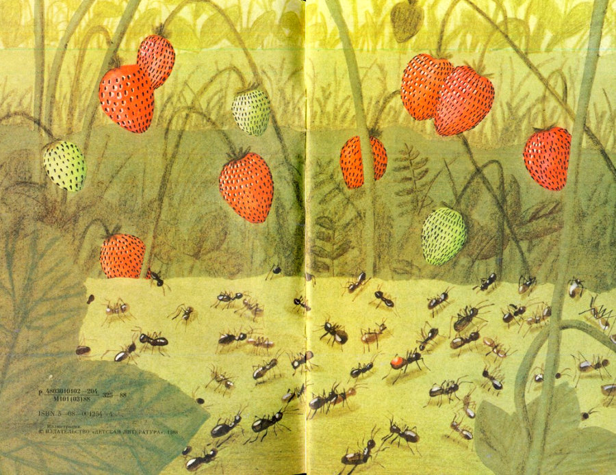 Муравей Красная Точка (с илл.) i_001.jpg