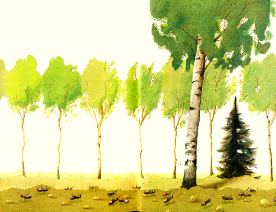 Муравей Красная Точка (с илл.) i_002.jpg