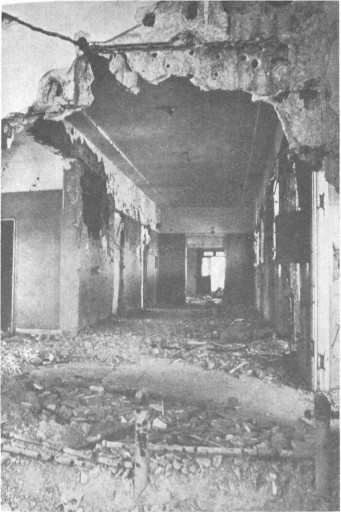 Голанские высоты i_009.jpg