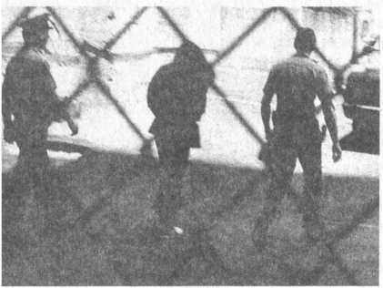 Helter Skelter: Правда о Чарли Мэнсоне i_037.jpg