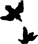 Миры Роджера Желязны. Том 28 i_009.png
