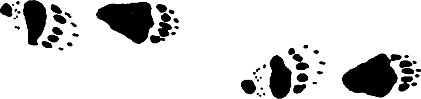 Миры Роджера Желязны. Том 28 i_013.png