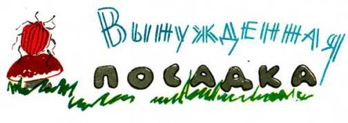 Приключения лисенка (с илл.) pic_52.jpg