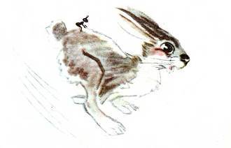 Приключения лисенка (с илл.) pic_27.jpg