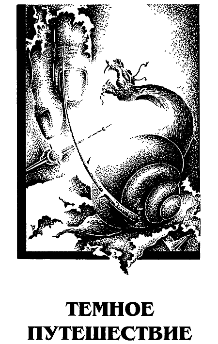 Миры Роджера Желязны. Том 19 i_004.png
