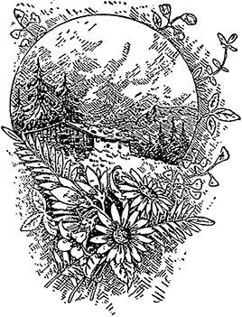 i_033.png