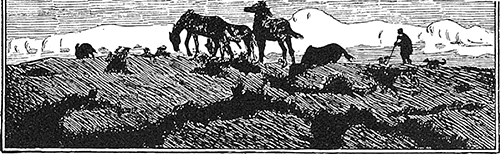 i_039.png