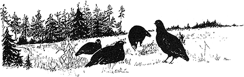 i_063.png