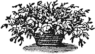 i_066.png