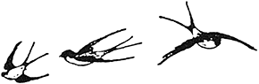 i_072.png