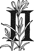 i_074.png