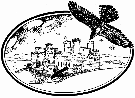 Сказки Ирландские и Валлийские (Британские легенды и сказки) i_030.png