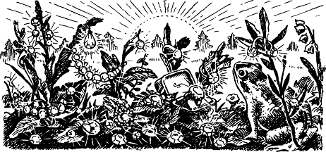 Юный физик в пионерском лагере i_005.png